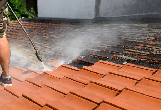 Best Pressure Washing Near Me  in Rocklin, CA